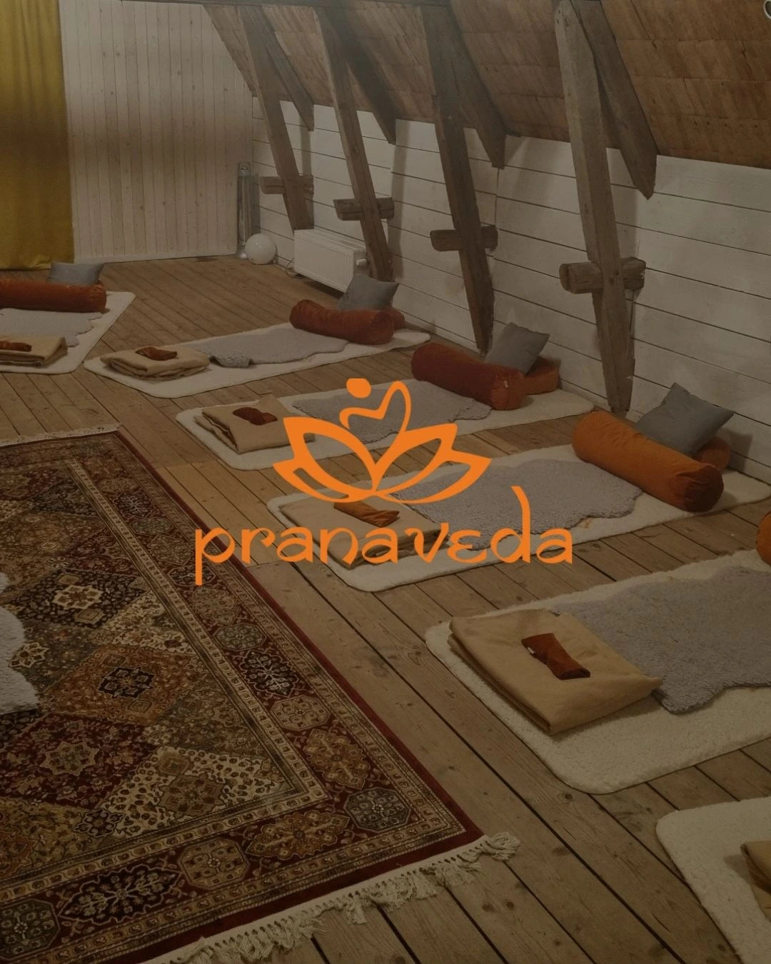 Varumärkesbild från Pranaveda med logotyp i mitten. 